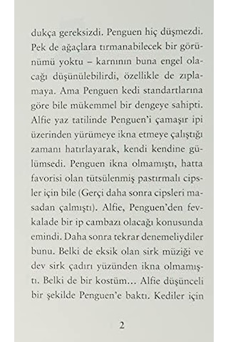 Penguen Adında Bir Kedi