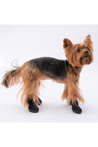 Pawstar Siyah Köpek Ayakkabısı