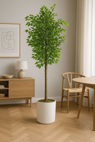 Yapay Benjamın Agacı 150 Cm Beyaz Metal Saksıyla Yeşil