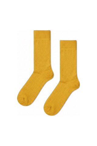 Carnaval Socks Hardal Renkli Pastel Çorap Çok Renkli