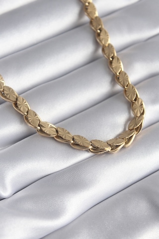 316l Çelik Gold Renk Lazer Kesim Arpa Zincir Model Kadın Kolye Altin