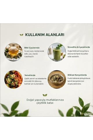 Gimneya Gymnema Sylvestre Cinnema Gurmar Otu - 50 Gr