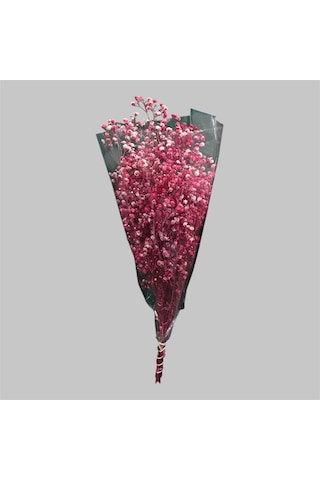 Şoklanmış Kurutulmuş Cipso Çiçeği 1 Demet 50-60gr - 35-45cm Kırmızı