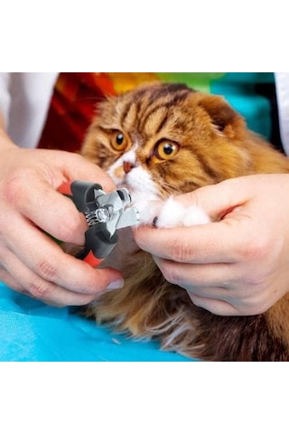 Kedi Köpek Tırnak Makası 12,3 Cm