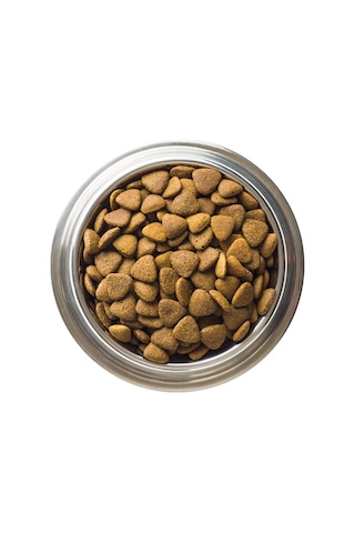 Biftekli Köpek Maması 15 Kg
