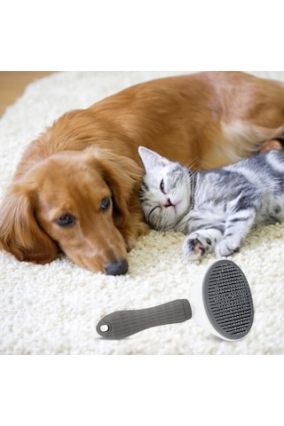 Kedi Köpek Tüy Toplayıcı Pet Tarak 20 Cm Çok Renkli