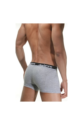 Darkzone Gri Erkek Boxer - Dzn2303