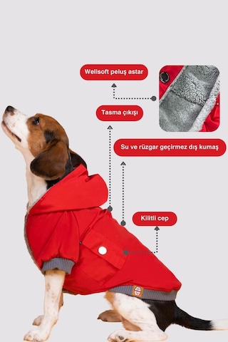 Köpek Mont - Red Design Su Geçirmez Köpek Yağmurluğu, Küçük Irk Köpek Kıyafeti