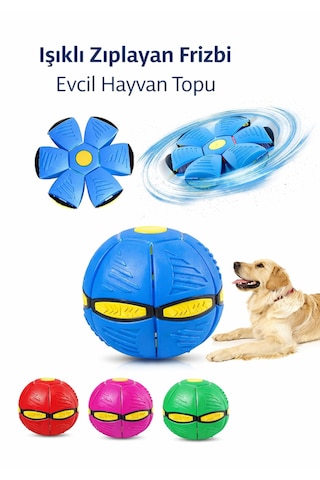 Işıklı Köpek Topu Zıplayan Açılır Frizbi Oyuncak Köpek Oyuncağı