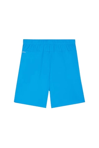 Puma 705752 Teamgoal Şort Mavi Mavi