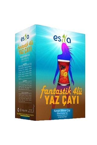 Esila Fantastik Dörtlü Yaz Çayı 90 G