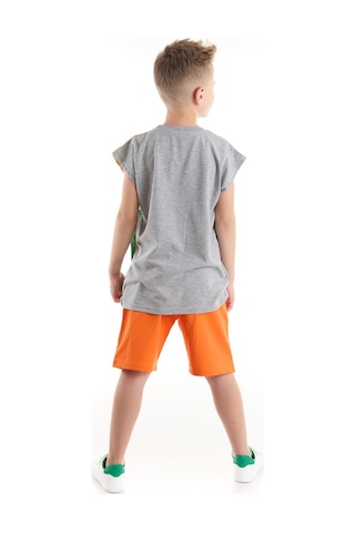 Denokids Mshb&g T-Rex Alev Erkek Çocuk T-Shirt Şort Takım Çok Renkli
