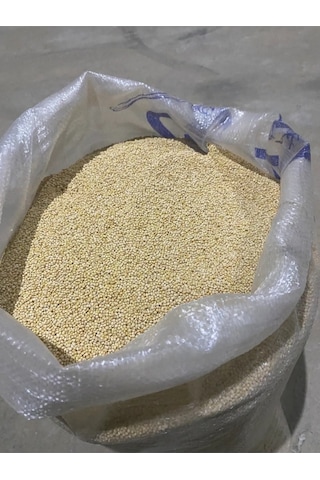 Mezbi Akdarı Muhabbet Kuş Yemi 5 KG
