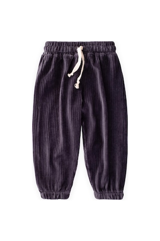 Cigit Fitilli Kadife Jogger Pantolon 1-10 Yaş Füme Füme