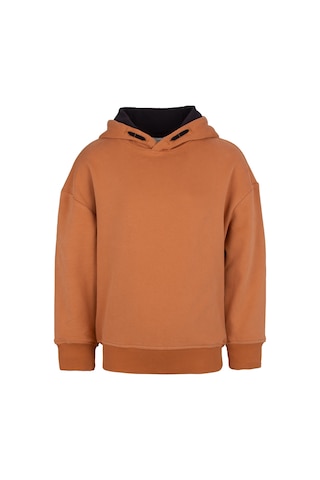 Brz Kids Unisex Çocuk Basic Hoodie Kahverengi