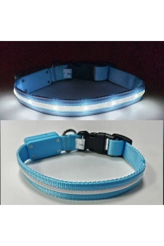 Honeybeeshop Gece Yürüyüşleri İçin 1000 Metre Görüş Mesafeli Şarj Edilebilir Kedi Ve Köpek Tasması Light Blue Xs Çoklu Renk Ve Beden Seçenekleri Altın