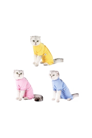 Springsun Kedi Ameliyat Sonrası İyileşme Yeleği - Yara Koruma Ve Yalama Önleyici, Sarı, Xs Boy