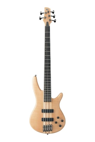 Ibanez Sr1005efmntf Sr Serisi Bas Gitar 5 Telli - Çantalı