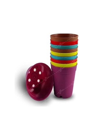 Katı Plastik Sukulent Saksısı 15 Adet Koyu Mor 5.5 Cm