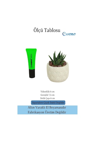 Mini Çiçek Saksı Küçük Sukulent Kaktüs Saksısı Altıgen Desenli Model - Beyaz