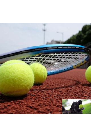 3 Adet Tenis Topu Köpek Oyun Topu
