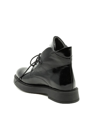 Dexter Tp7402-20 Renkli