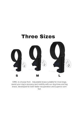 Vkemall Köpek Diz İçin Destekli Protez - Acl Hasarı, Patella Değişikliği Ve Enflamasyon İçin Rehabilitasyon Bandı - Siyah L