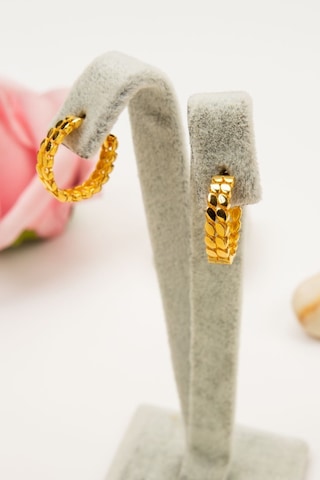 22 Ayar Altın 2,8 Gram Gizli Klips Pullu Kadın Küpe Lkkp1341