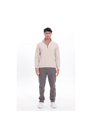 Rowinger Yarım Fermuarlı Dik Yaka Selanik Örme Erkek Sweatshirt Beıge