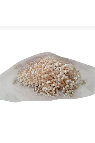 Şoklanmış Kurutulmuş Cipso Çiçeği 1 Demet 50-60gr - 35-45cm Krem