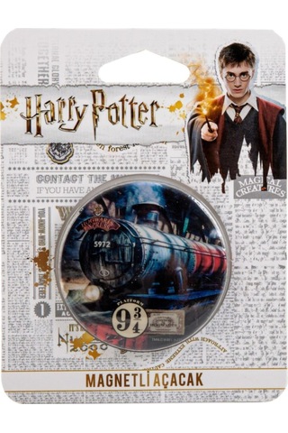 Kapak Açacağı Magnetli Harry Potter Lisanslı Özel Tasarım Mavi