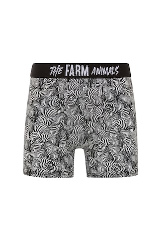 Farm Animals Zebra Desenli Boxer