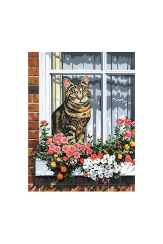 Camdaki Kedi Çerçeveli 40x50 Sayılarla Boyama Hobi Seti