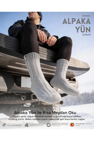 Bolero Nordsox E31 Erkek Alpaka Yün Soket Çorap 41-45 Açık Gri