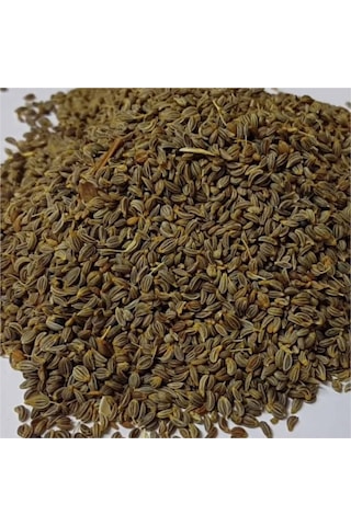 Iri Yaprak Maydanoz Tohumu 1 Kg