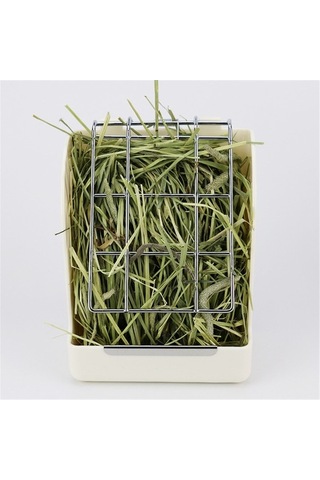 Pazly Deney Hayvanı Kobay Tavşan Ot Yemliği Bahar Ot Rafı Totoro Evcil Hayvan Malzemeleri Hollanda Domuzu Kafes Aksesuarı