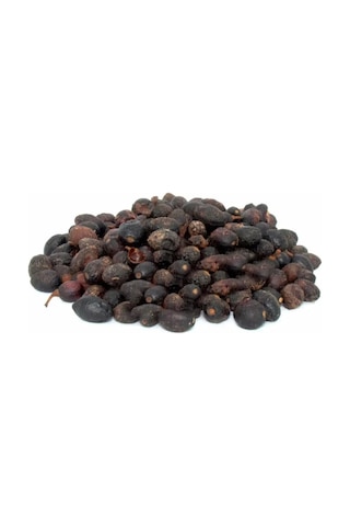 Derya Eren Defne Tohumu Laurus Nobilis 100 G