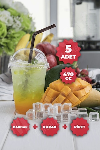 Plastik Milkshake Bardağı + Kapak + Pipet 16 Oz 470 Cc - 5 Adet