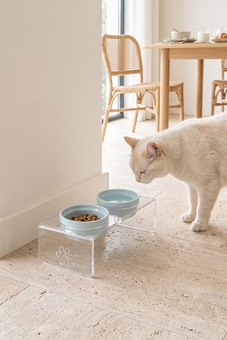 Gobypet 2'li Mavi Seramik Dekoratif Kedi Köpek Pleksi Mama & Su Kabı Paspas