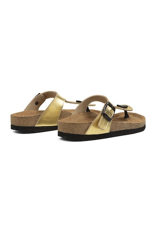 Pierre Cardin Pc-5067-50 Altın Çocuk Terlik