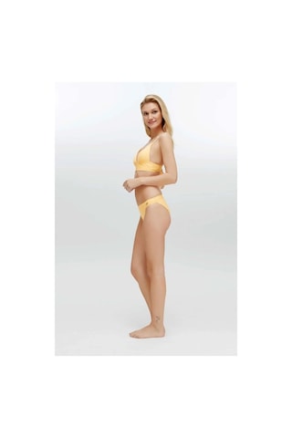 U.S. Polo Assn. Kadın Sarı Bikini Takım Sarı