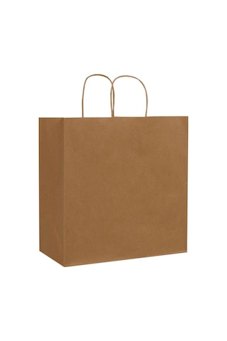 Packanya 29 x 15 x 29 - 25 Adet Burgu Saplı Kraft Çanta
