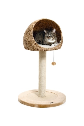 Karlıe Kedi Tırmalama Muz Yaprağı Iı 56x93cm