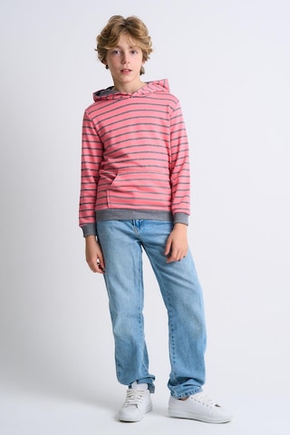 Alexandergardi Alexandergardı Kanguru Cepli Kapüşonlu Çizgili Çocuk Sweatshirt Pembe
