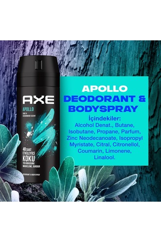 Axe Apollo Sage&Caderwood Erkek Sprey Deodorant 4 x 150 ML
