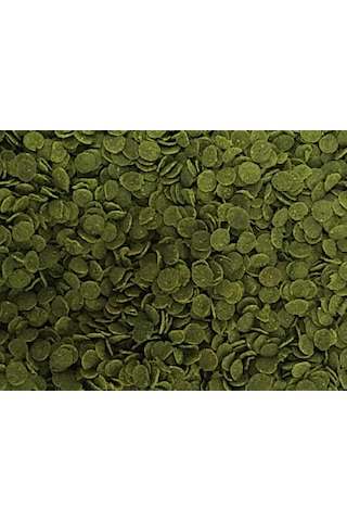 Spirulina Chips Pro 250ml Kutu Akvaryum Balık Yemi