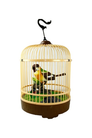 Vardem Kutulu Kafesli Büyük Kuş