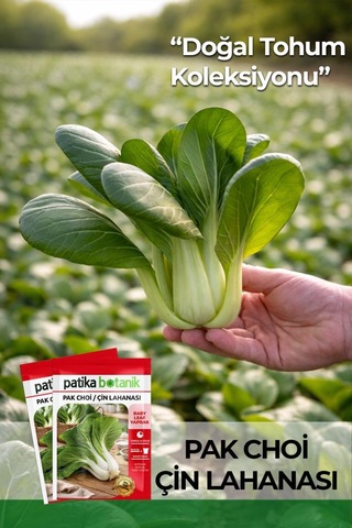 100 Adet Pak Choi / Çin Lahanası Tohumu