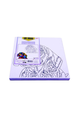 Südor Tuval Mydido 30x30 Cm Desenli