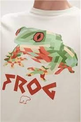 Bad Bear Frog T-shırt Beyaz 23.01.07.011-c04 001